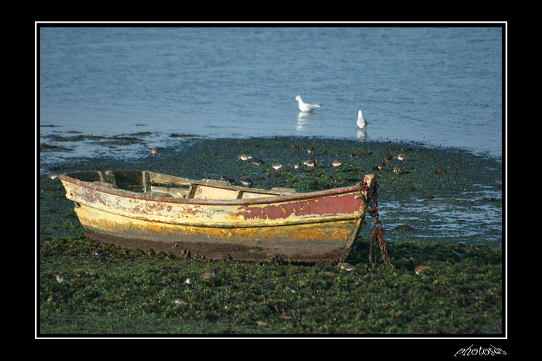 MER02.jpg