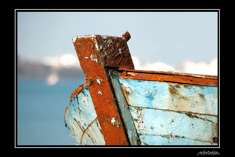 MER05.jpg