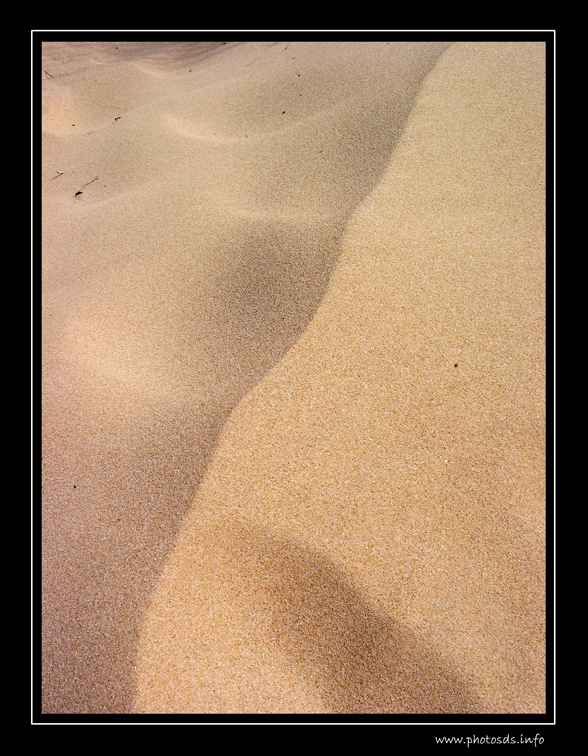 MER06.jpg