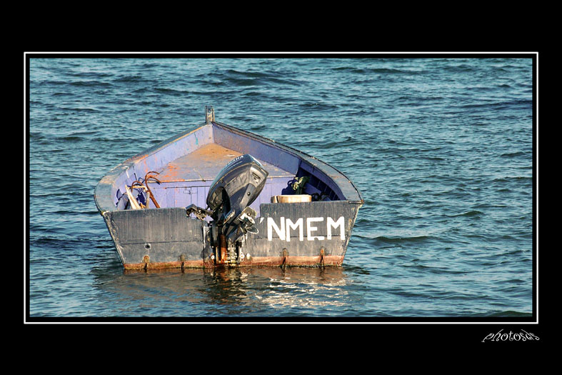 MER08.jpg
