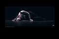 DANSE06