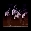 DANSE10