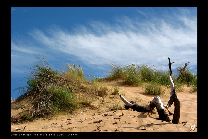 OLERON1.jpg