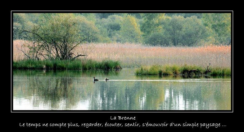 etang.jpg