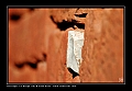 COLLONGES1