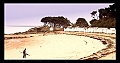 NOIRMOUTIER1