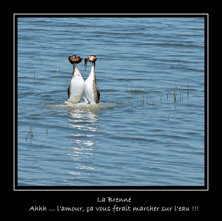 mariage.jpg