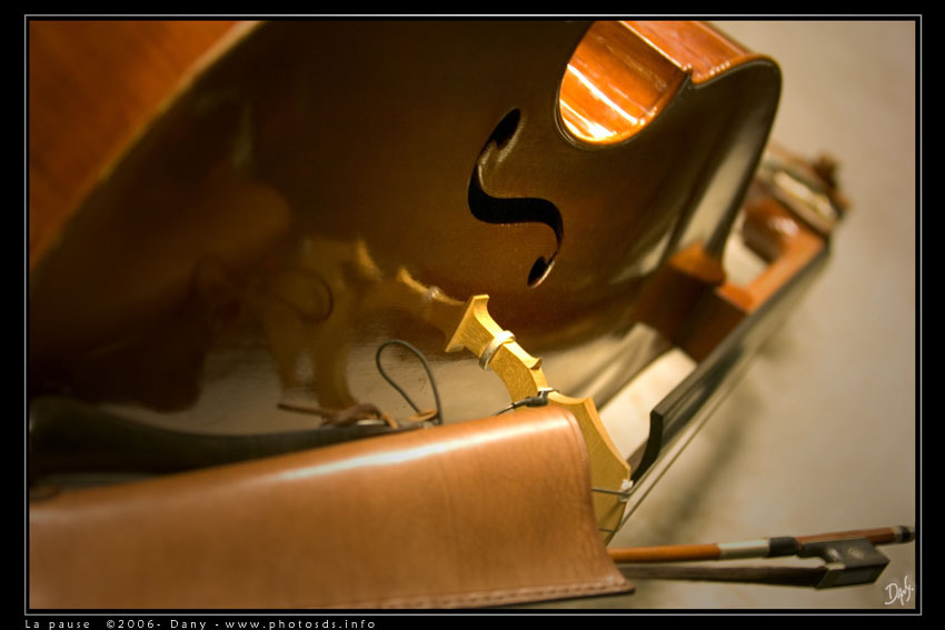 JAZZY10.jpg