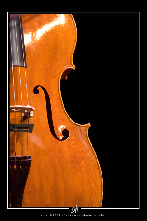 JAZZY25.jpg