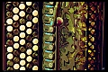 JAZZY12