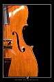 JAZZY25
