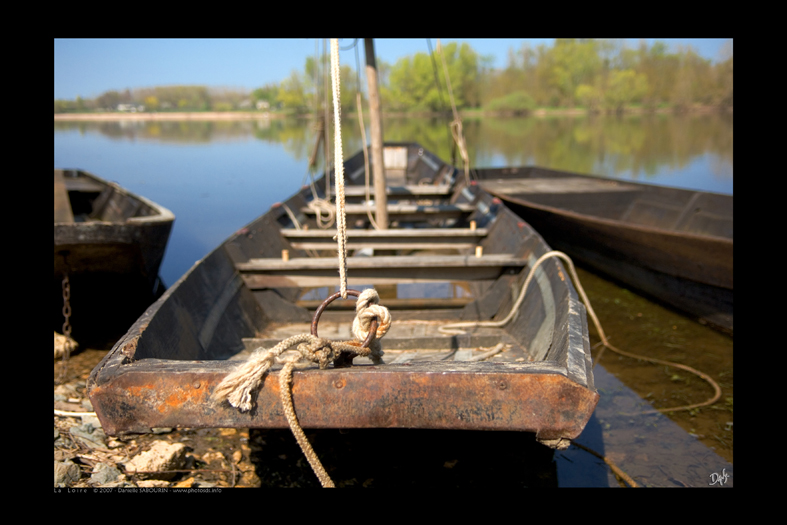 LOIRE02.jpg