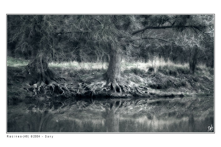 LOIRE08.jpg